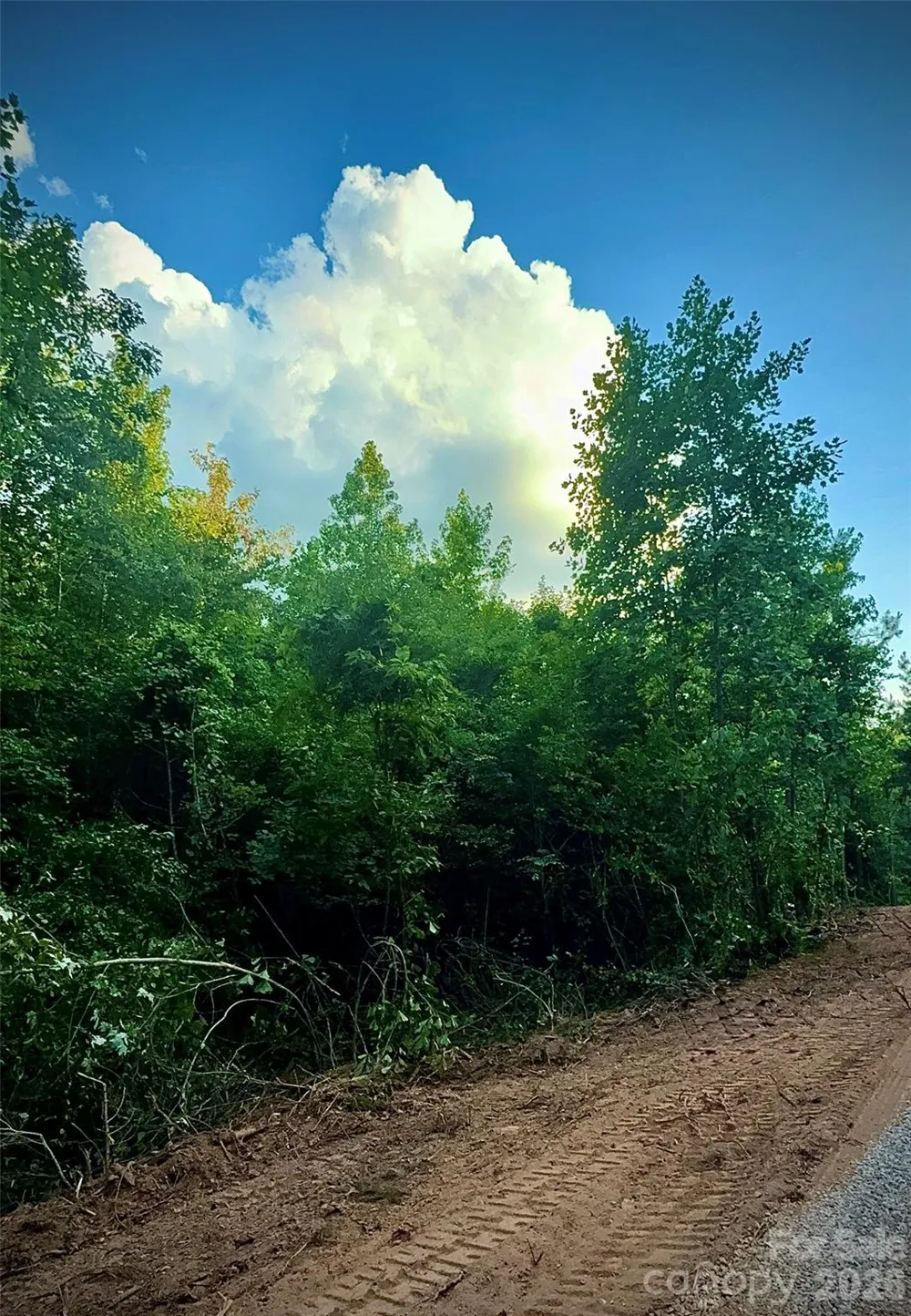 00 Jason Road Star, NC 27356