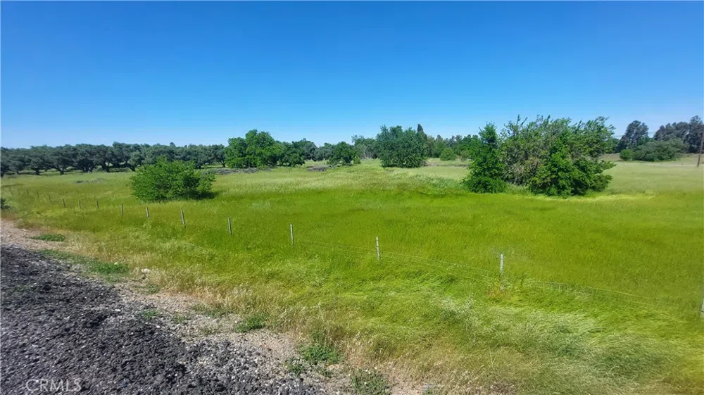 2915 S 99W Corning, CA 96021