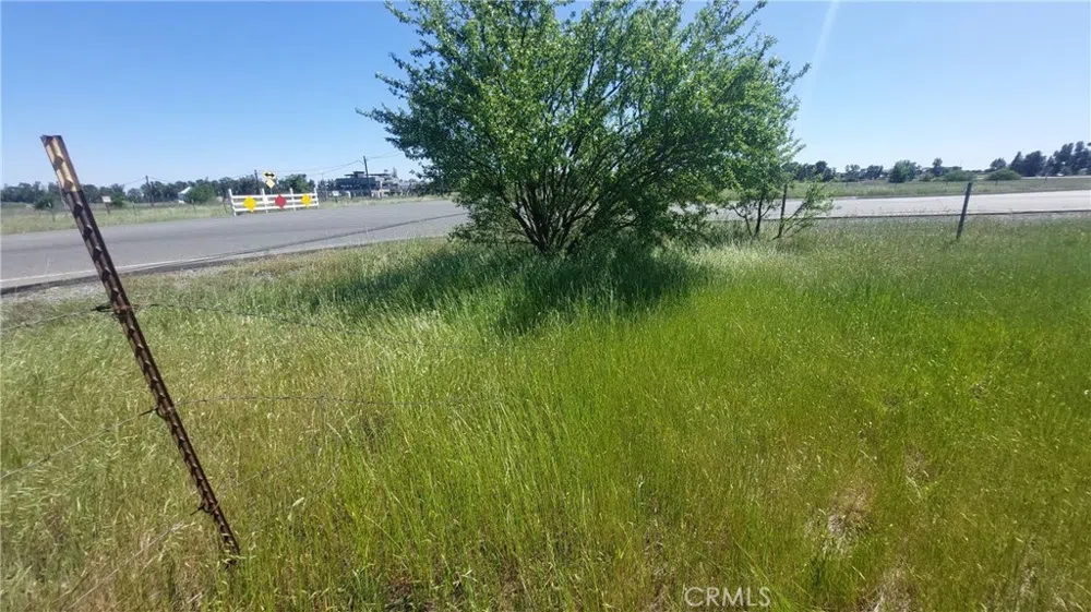 2915 S 99W Corning, CA 96021
