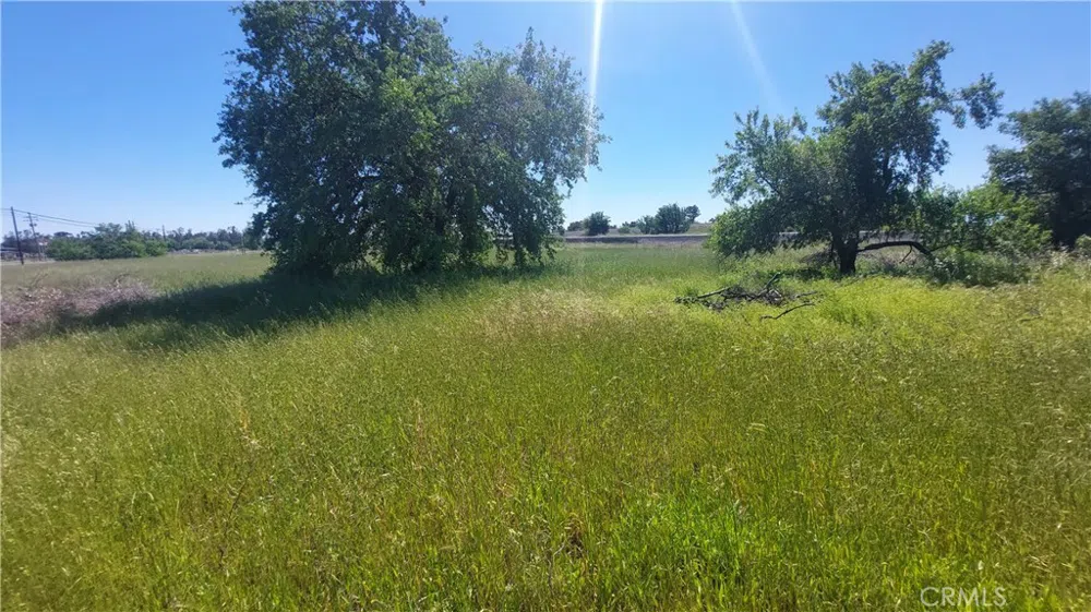 2915 S 99W Corning, CA 96021