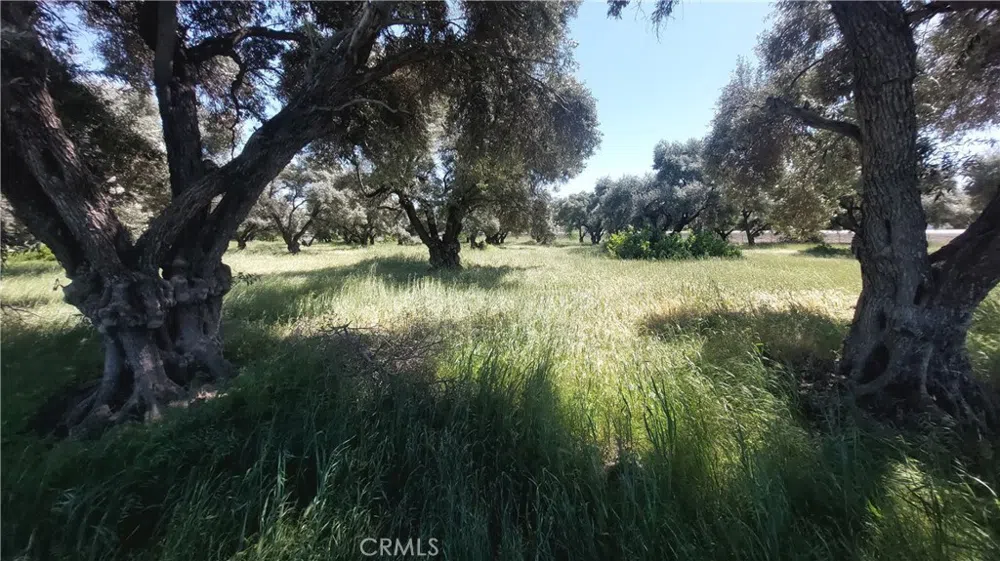 2915 S 99W Corning, CA 96021