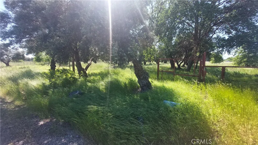 2915 S 99W Corning, CA 96021
