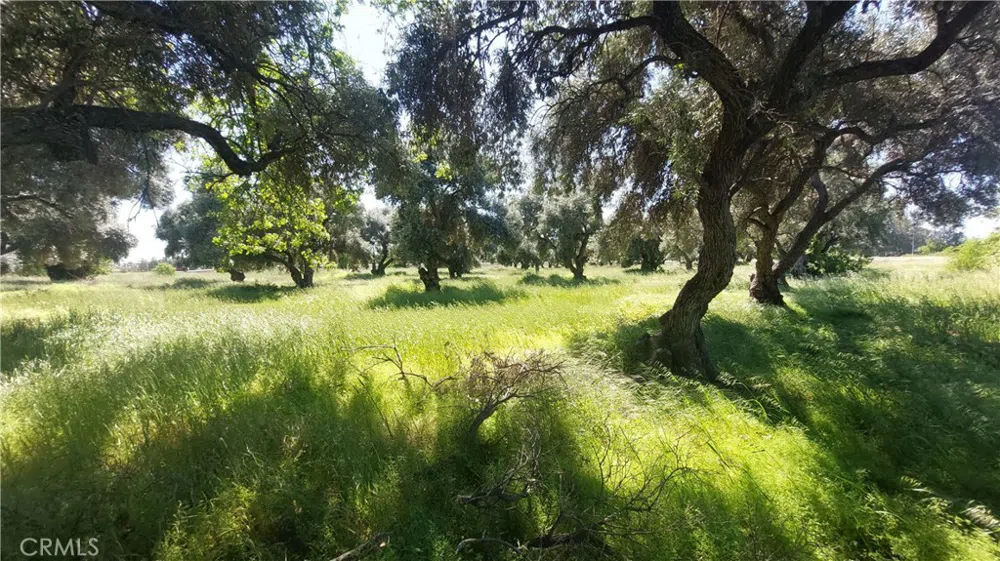 2915 S 99W Corning, CA 96021