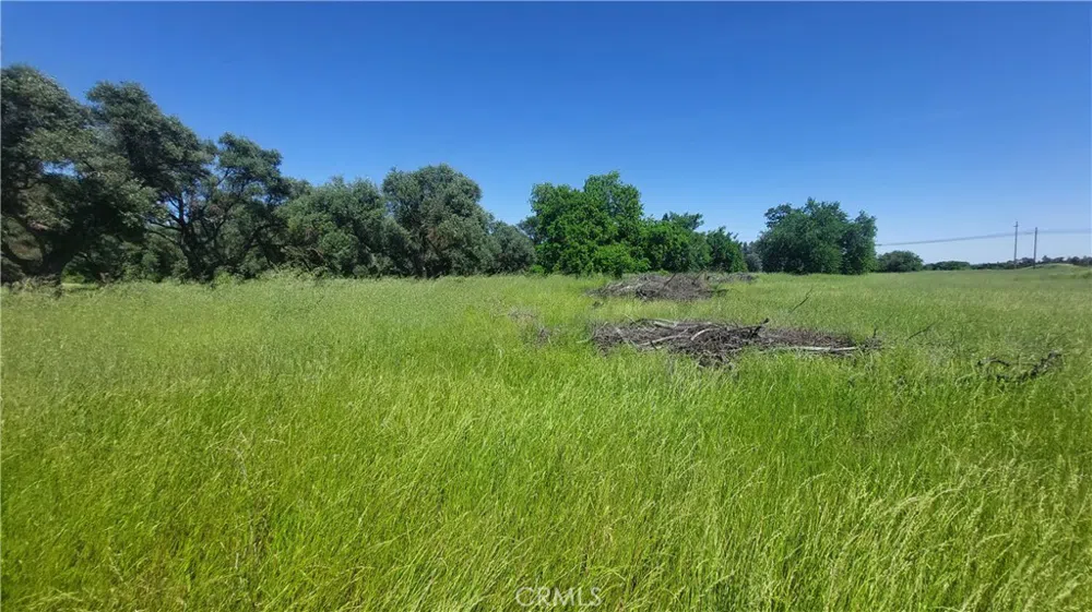 2915 S 99W Corning, CA 96021