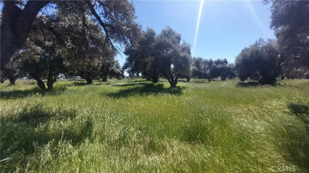 2915 S 99W Corning, CA 96021