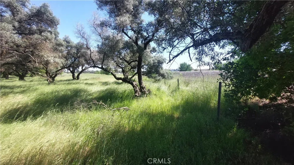 2915 S 99W Corning, CA 96021