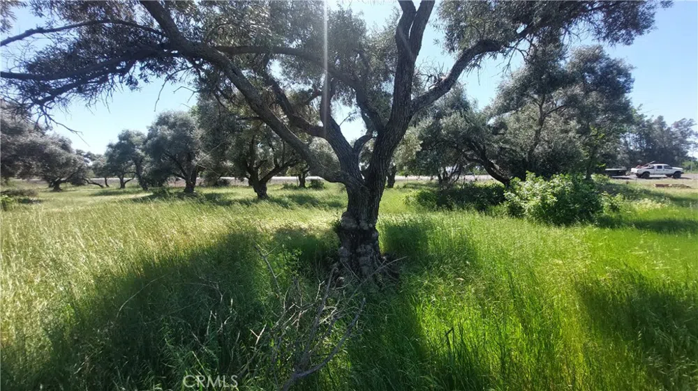 2915 S 99W Corning, CA 96021