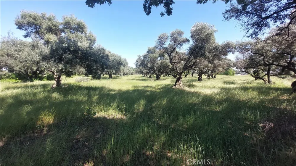 2915 S 99W Corning, CA 96021