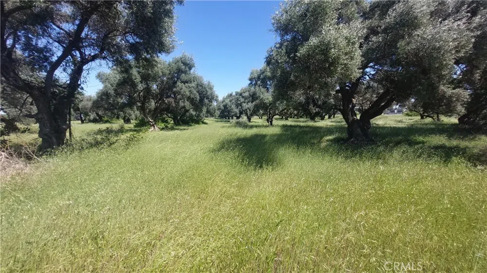 2915 S 99W Corning, CA 96021