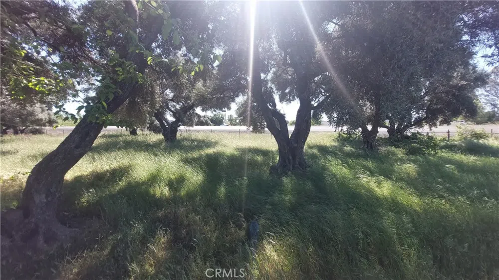 2915 S 99W Corning, CA 96021