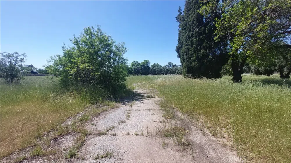 2915 S 99W Corning, CA 96021