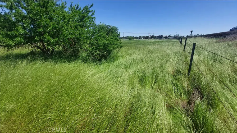 2915 S 99W Corning, CA 96021
