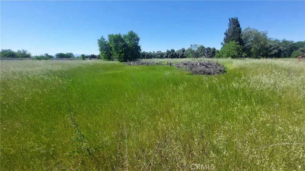 2915 S 99W Corning, CA 96021