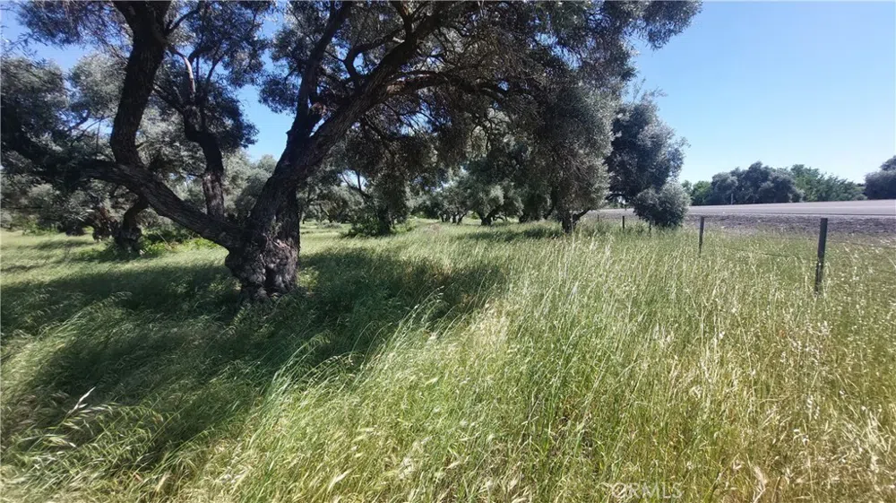 2915 S 99W Corning, CA 96021