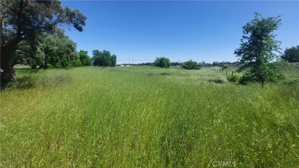 2915 S 99W Corning, CA 96021