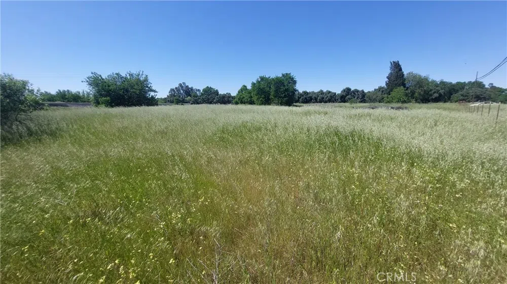 2915 S 99W Corning, CA 96021