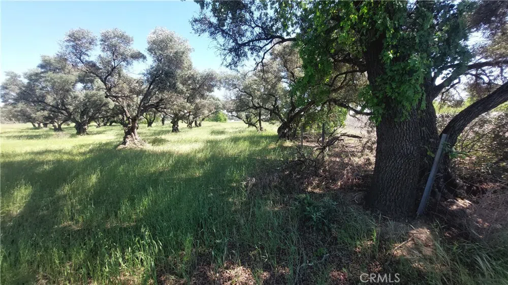 2915 S 99W Corning, CA 96021