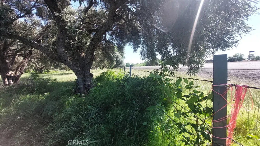 2915 S 99W Corning, CA 96021