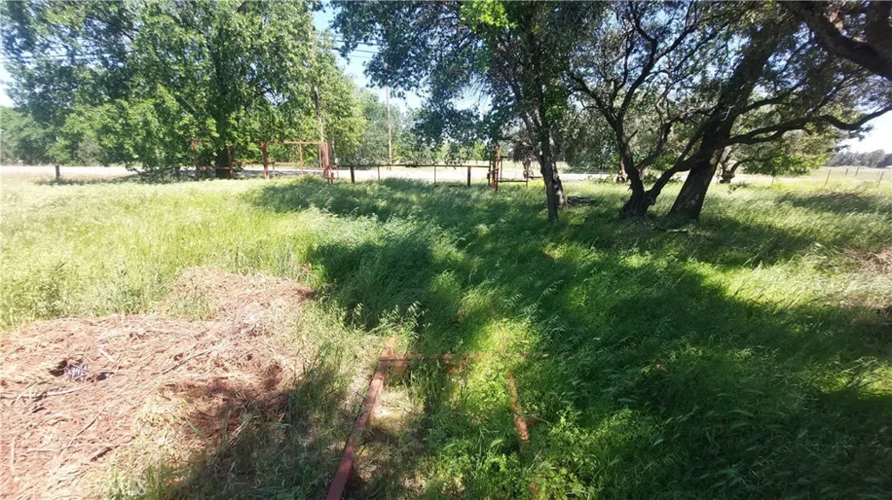 2915 S 99W Corning, CA 96021