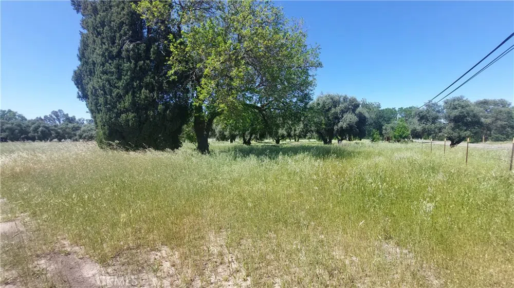 2915 S 99W Corning, CA 96021