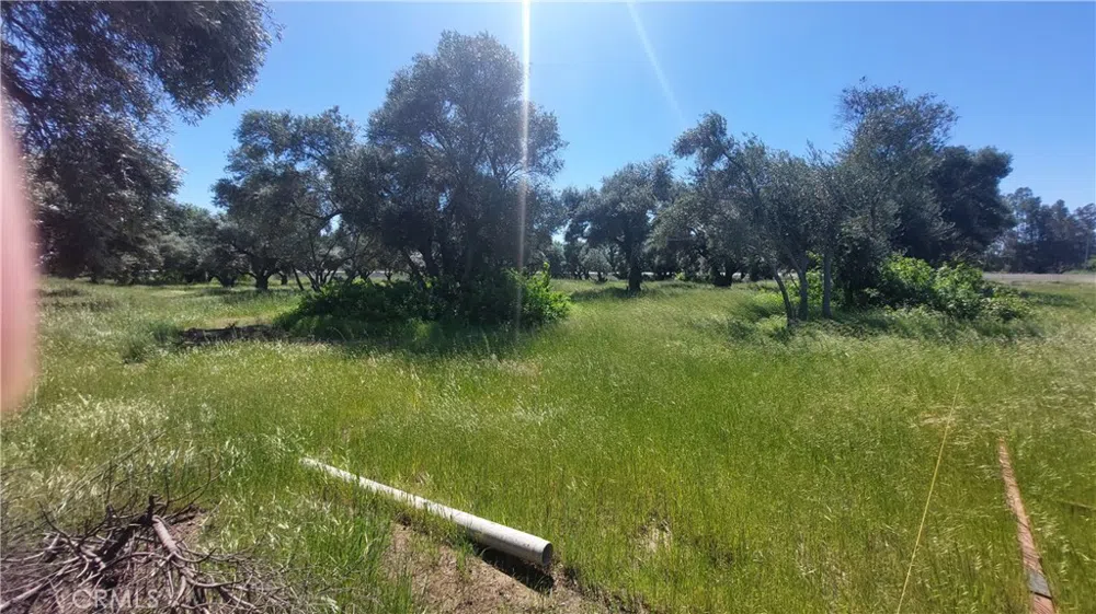 2915 S 99W Corning, CA 96021