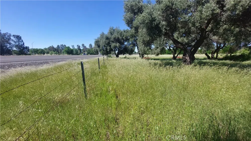 2915 S 99W Corning, CA 96021
