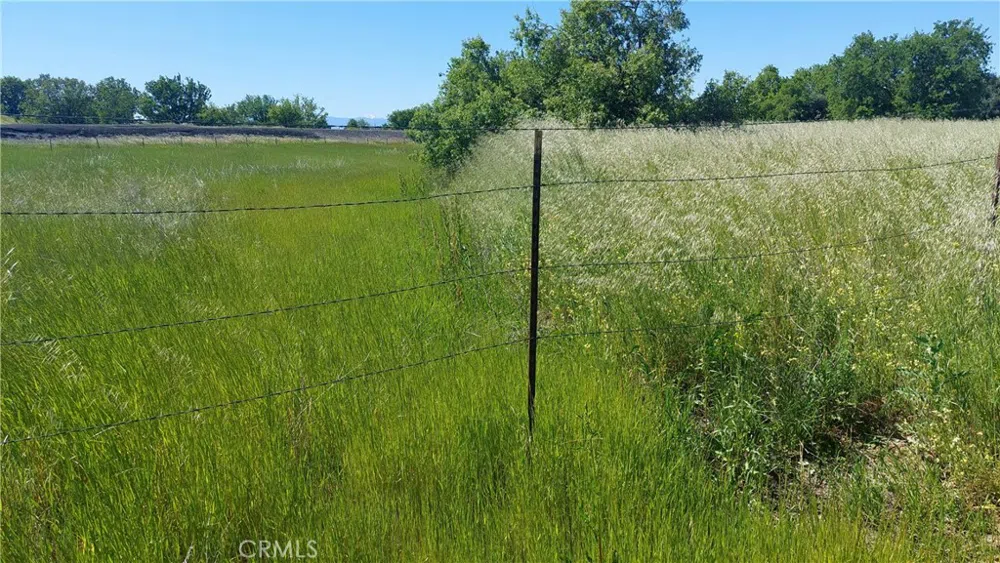 2915 S 99W Corning, CA 96021