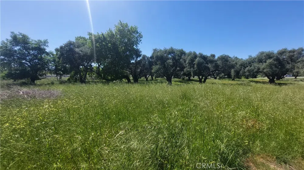 2915 S 99W Corning, CA 96021