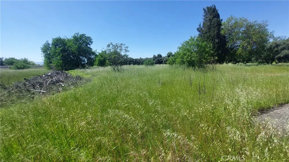 2915 S 99W Corning, CA 96021