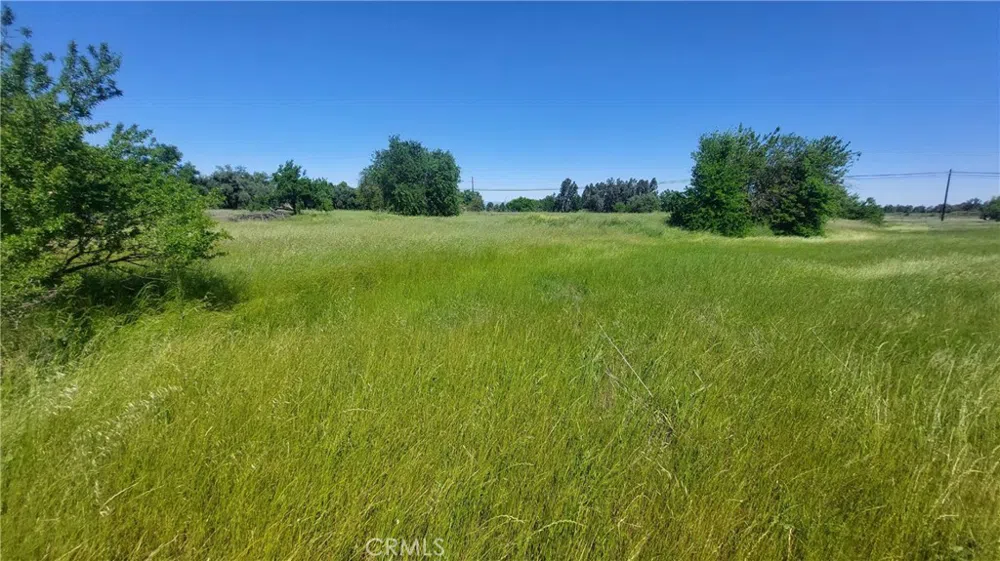 2915 S 99W Corning, CA 96021