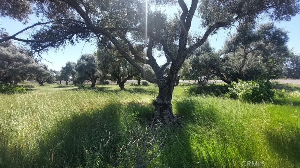 2915 S 99W Corning, CA 96021