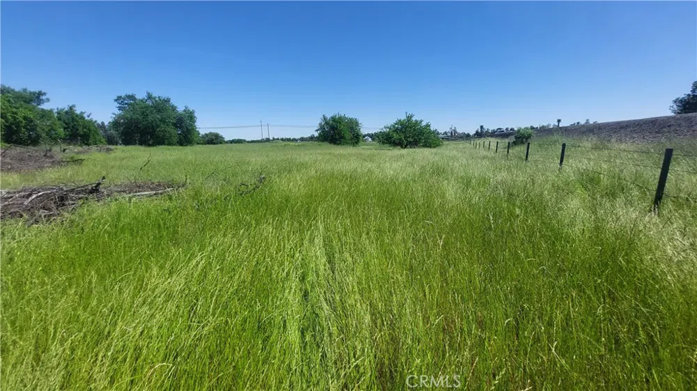 2915 S 99W Corning, CA 96021