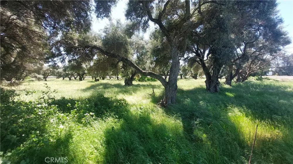 2915 S 99W Corning, CA 96021