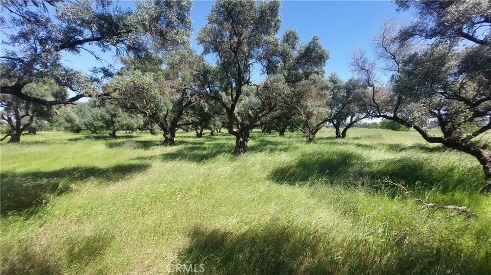 2915 S 99W Corning, CA 96021