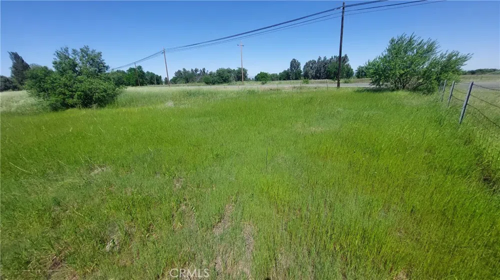 2915 S 99W Corning, CA 96021