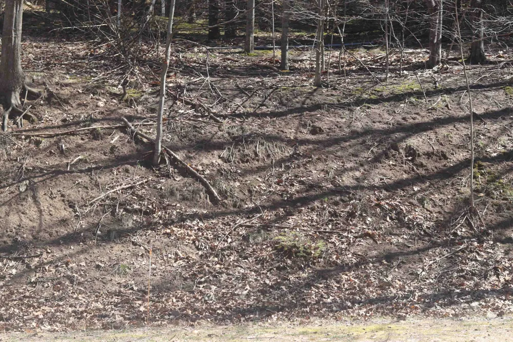 Crystal View Lake Township, MI 49617