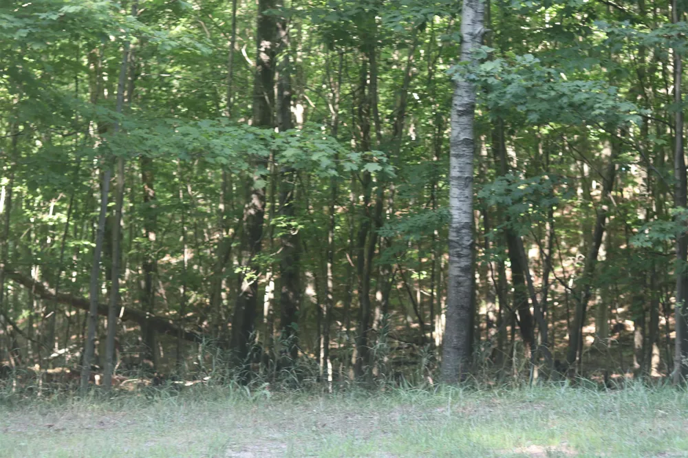 Crystal View Lake Township, MI 49617