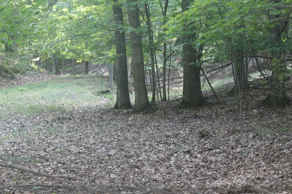 Crystal View Lake Township, MI 49617