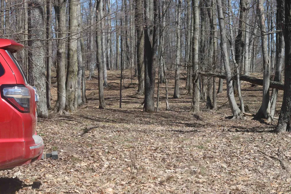 Crystal View Lake Township, MI 49617