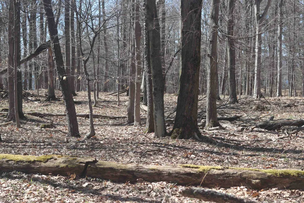 Crystal View Lake Township, MI 49617