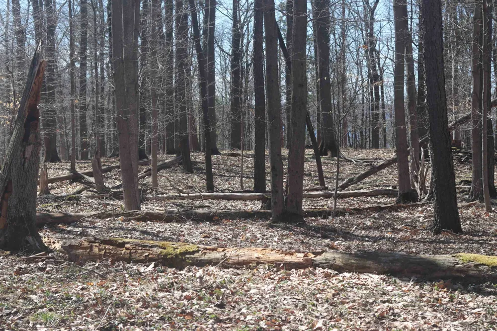 Crystal View Lake Township, MI 49617