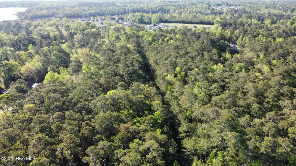 Tbd Wood Creek Drive Hubert, NC 28539