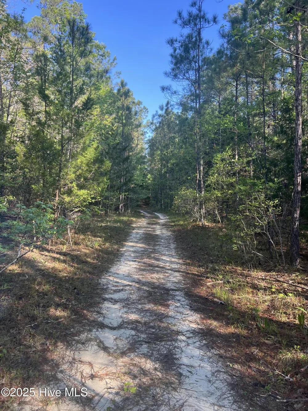 Tbd Wood Creek Drive Hubert, NC 28539
