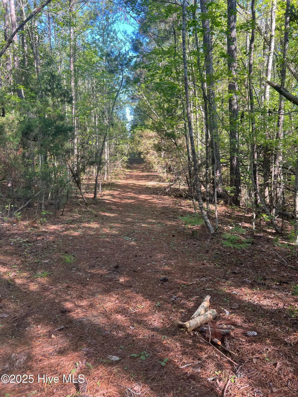 Tbd Wood Creek Drive Hubert, NC 28539