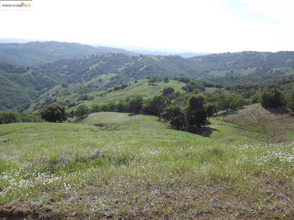 39305 Pine Mountain RD Cloverdale, CA 95425