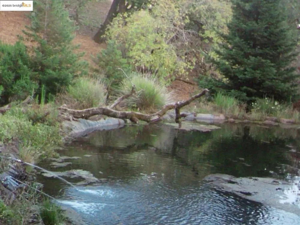 39305 Pine Mountain RD Cloverdale, CA 95425