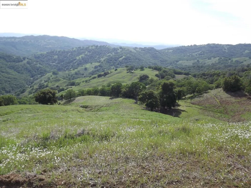 39305 Pine Mountain RD Cloverdale, CA 95425