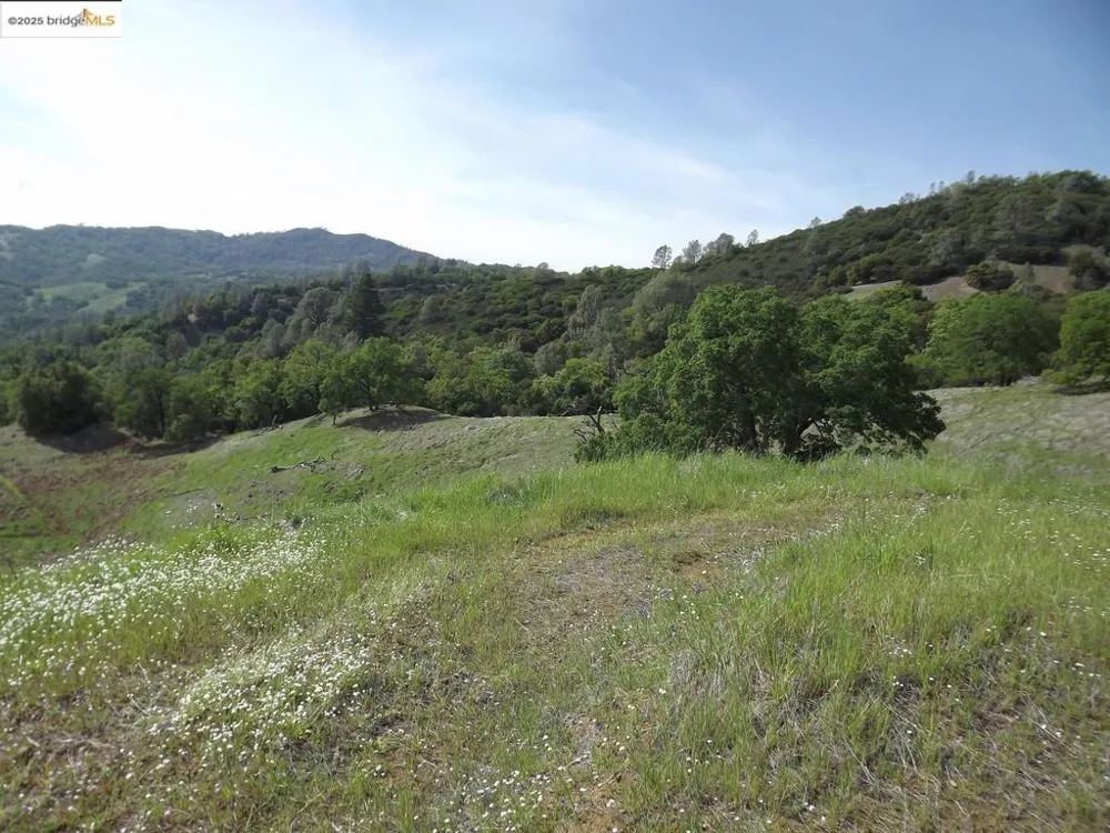 39305 Pine Mountain RD Cloverdale, CA 95425