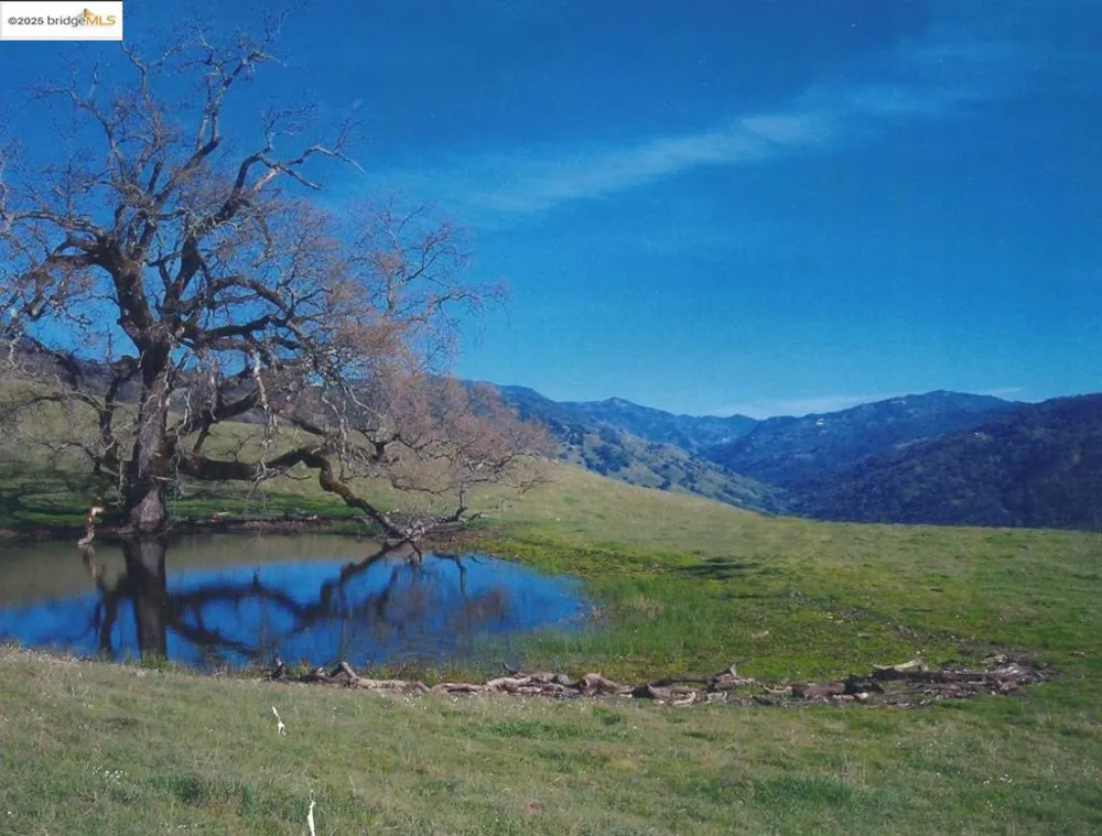 39305 Pine Mountain RD Cloverdale, CA 95425
