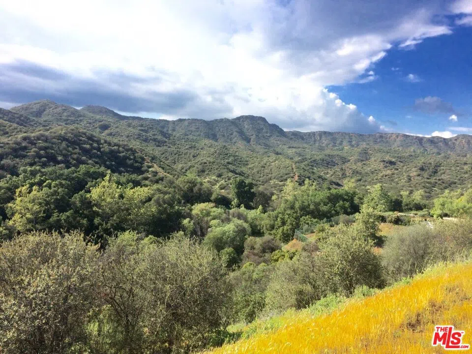 935 Cold Canyon Calabasas, CA 91302